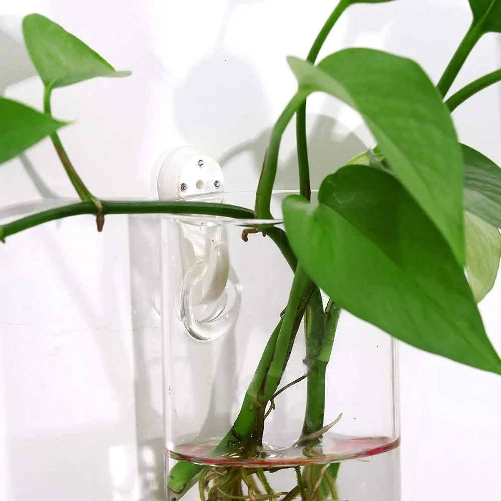 3/6Pack Wall Hanging Glass Planters Plant Terrarium Holders Wall Hanging Transparent Planter Garden Living Room Wall Decor