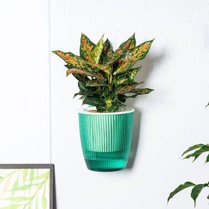 Wall Mounted Plastic Potted Plant Flowerpot Creative Wall Hanging Planter Self Watering Planter Pots Home Wall Decoration